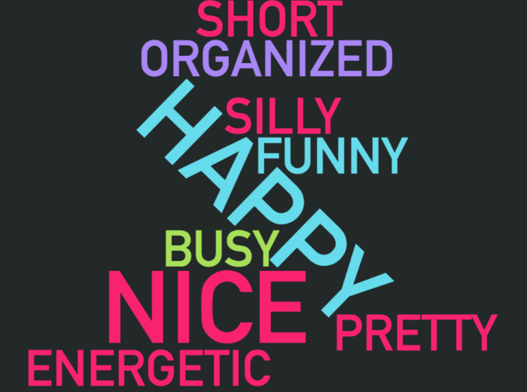 Word cloud with short, organized, silly, funny, happy, busy, nice, pretty, energetic